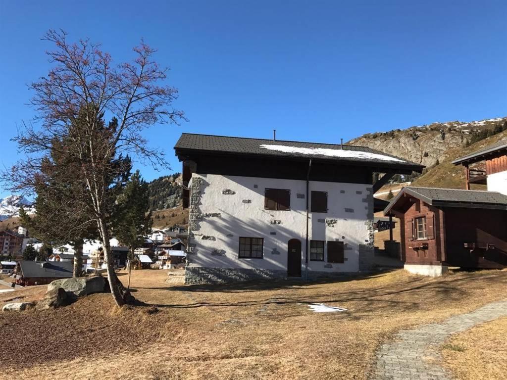 Schoenegg Studio Riederalp Zewnętrze zdjęcie