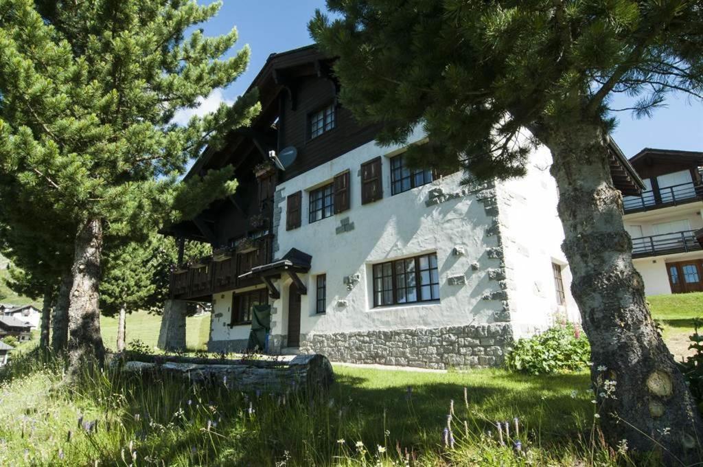 Schoenegg Studio Riederalp Zewnętrze zdjęcie