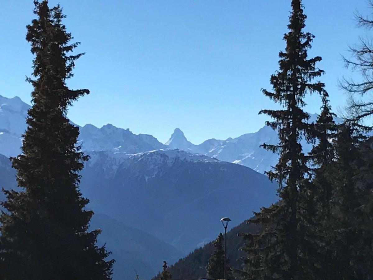 Schoenegg Studio Riederalp Zewnętrze zdjęcie